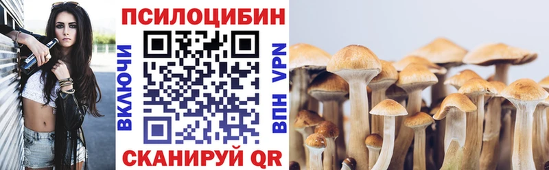 Галлюциногенные грибы Psilocybine cubensis  купить   Ворсма 